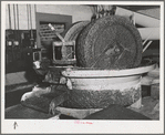A granite millstone crushes the olives which have first been washed and warmed. This is the first step in making olive oil. Lindsay, California