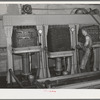 Bags full of olive pulp in hydraulic presses for extraction of oil. The pulp is pressed two different times under differet degrees of pressure and this produces two distinct qualities of oil. Lindsay, California