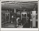 Interior of olive oil plant, Lindsay, California. Olives were introduced to California in the 18th century by Spanish Padres