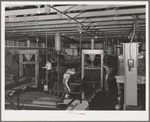 Interior of olive oil plant, Lindsay, California. Olives were introduced to California in the 18th century by Spanish Padres