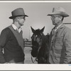Cattlemen. Imperial County, California. This county is the center of beef feeding operations. Steer manure is an important by-product