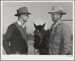 Cattlemen. Imperial County, California. This county is the center of beef feeding operations. Steer manure is an important by-product