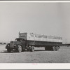"Steer pullman." Imperial County, California. Steers are transported in these to nearby markets such as Los Angeles and San Diego
