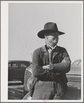 Cattleman. Imperial County, California