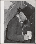 Imperial County, California. Cattleman notes down number of head of cattle shipped