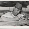 Cattleman. Imperial County, California