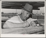 Cattleman. Imperial County, California