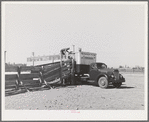 Beef cattle are loaded into this "pullman" truck for transportation to market. Imperial County, California