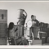 Checking in peas for weighing. Imperial County, California