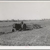 Raking hay. Yuma County, Arizona