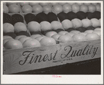 Exhibit of grapefruit at the Imperial County Fair, California