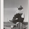 Cowboy. Imperial County Fair, California