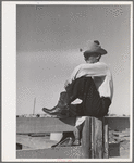 Cowboy. Imperial County Fair, California