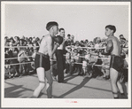 Boxing match at the second annual Field Day at the FSA Farm Workers Community, Yuma , Arizona