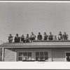 Farm workers watch athletic event at the second annual field day at the FSA (Farm Security Administration) farm workers' community. Yuma, Arizona