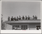 Farm workers watch athletic event at the second annual field day at the FSA (Farm Security Administration) farm workers' community. Yuma, Arizona