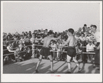 Boxing match at the second annual field day at the FSA (Farm Security Administration) farm workers' community. Yuma, Arizona