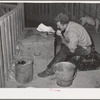 In the stock show barns at the Imperial County Fair, California