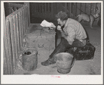In the stock show barns at the Imperial County Fair, California