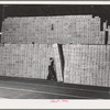 Turlock, California. Cans which will contain dehydrated cabbage