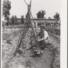 William Ollar with his Kentucky Wonder Pole beans. FSA (Farm Security Administration) farm workers community. Yuba City, California