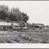 Agricultural workers in gardens in rear of apartment building at the FSA (Farm Security Administration) farm workers community. Yuba City, California