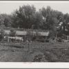 Agricultural workers in garden in rear of apartment building at the FSA (Farm Security Administration) farm workers community. Yuba City, California