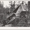 Grant County, Oregon. Malheur National Forest. Diesel caterpillar tractor snaking logs out of woods