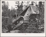 Grant County, Oregon. Malheur National Forest. Diesel caterpillar tractor snaking logs out of woods