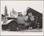 Grant County, Oregon. Malheur National Forest. Logs on truck