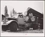 Grant County, Oregon. Malheur National Forest. Logs on truck