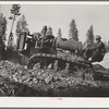 Grant County, Oregon. Malheur National Forest. Caterpillar tractor used in lumbering