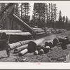 Grant County, Oregon. Malheur National Forest. A McGiffart loading machine loading logs