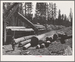 Grant County, Oregon. Malheur National Forest. A McGiffart loading machine loading logs