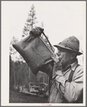Grant County, Oregon. Malheur National Forest. Lumberjack drinking from desert water bag