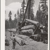 Grant County, Oregon. Malheur National Forest. Loading logs from trucks to flatcars