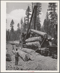 Grant County, Oregon. Malheur National Forest. Loading logs from trucks to flatcars