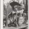 Grant County, Oregon. Malheur National Forest. Diesel Caterpillar operator