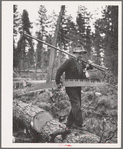 Grant County, Oregon. Malheur National Forest. Lumberjack with his tools