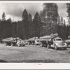 Grant County, Oregon. Malheur National Forest. Truckloads of logs