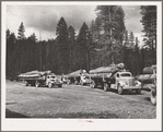 Grant County, Oregon. Malheur National Forest. Truckloads of logs