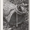 Grant County, Oregon. Malheur National Forest. The day's work is done at logging camp