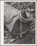 Grant County, Oregon. Malheur National Forest. The day's work is done at logging camp