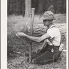 Grant County, OR. Malheur National Forest. Lumberjack making a "rubberman". It is used when a lumberjack who is sawing down a tree does not have a partner. The cross-saw is attached to the heavy rubber belt which holds saw secure while one man saws