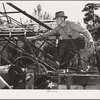 Ola, Idaho. FSA (Farm Security Administration) Ola self-help cooperative. A member runs the engine which moves logs into the sawmill