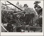 Ola, Idaho. FSA (Farm Security Administration) Ola self-help cooperative. A member runs the engine which moves logs into the sawmill