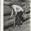 Ola, Idaho. FSA (Farm Security Administration) Ola self-help cooperative. A member places a hook on a log