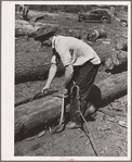 Ola, Idaho. FSA (Farm Security Administration) Ola self-help cooperative. A member places a hook on a log