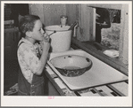 Ola, Idaho. FSA (Farm Security Administration) Ola self-help cooperative. Son of a member. The members are slowly but continually improving their houses