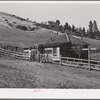 Ola, Idaho. FSA (Farm Security Administration) Ola self-help cooperative. Home of a member